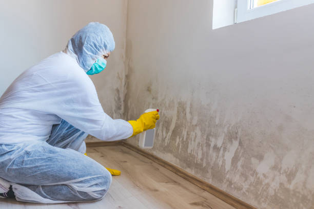 Mold Remediation specialist working in Marlboro